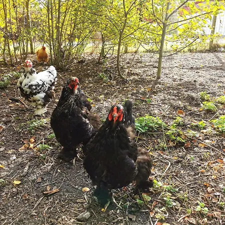 Birkevang The Silo - Rural Refuge